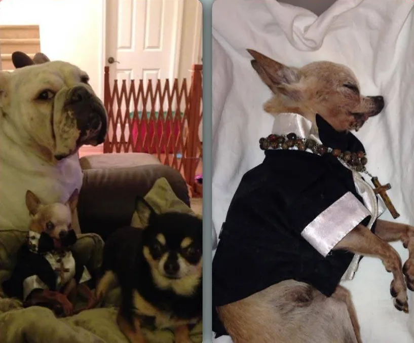 The TiCoMi family together, dressed up and full of love